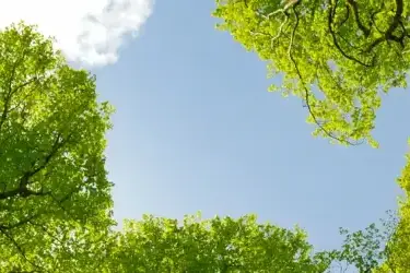 West Lothian  Cottages with Fishing on Site or Nearby 